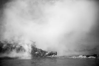 Christian Cravo - Grande Migração, Tanzânia 2012