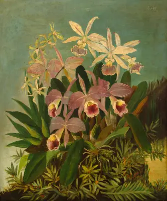 Karl Ernst Papf - Orquídeas Brasileiras