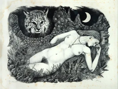 Octávio Araújo - Noturno