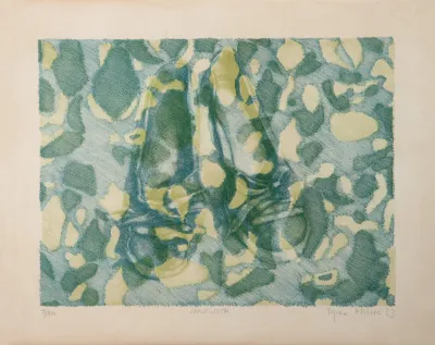 Regina Silveira - Camouflage