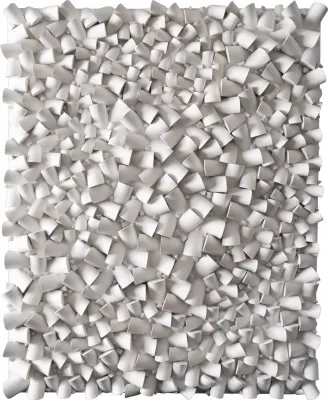 Sérgio Camargo - Relief n° 8