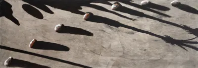 Takashi Fukushima - Sombras