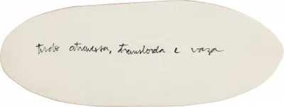 Verena Smit - Transborda e Vaza